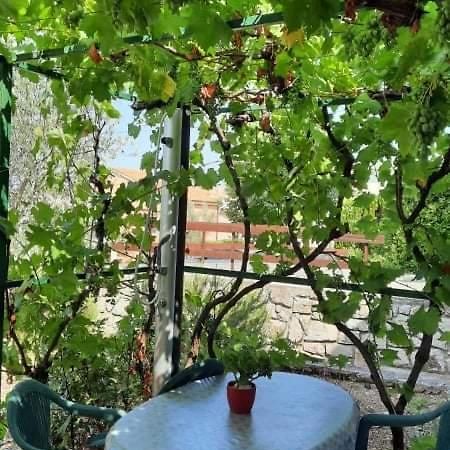 Apartman Katarina Cres Extérieur photo